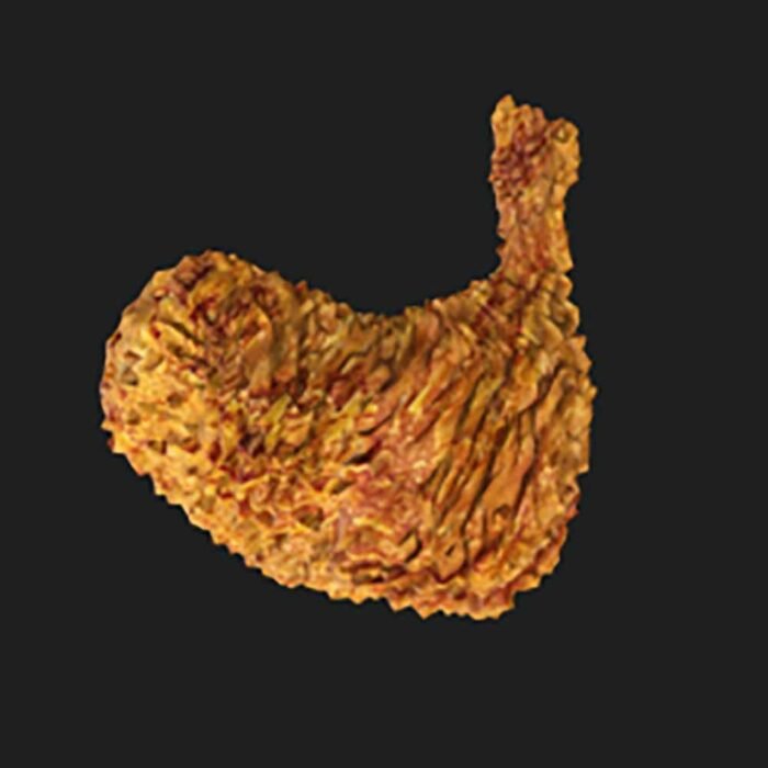 KFC Chicken Leg Piece Prop - Image 2