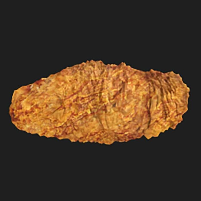 KFC Chicken Tender Piece Prop - Image 1