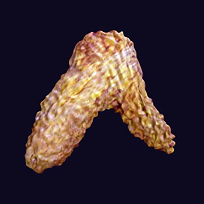 KFC Chicken Wing Piece Prop - Image 1
