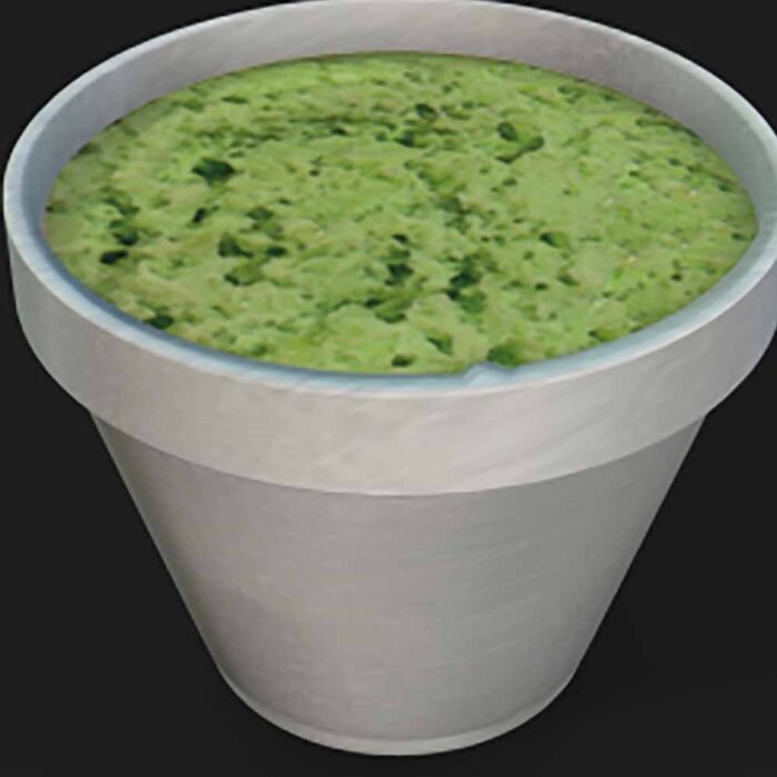 Coleslaw Prop – iClone - Image 1